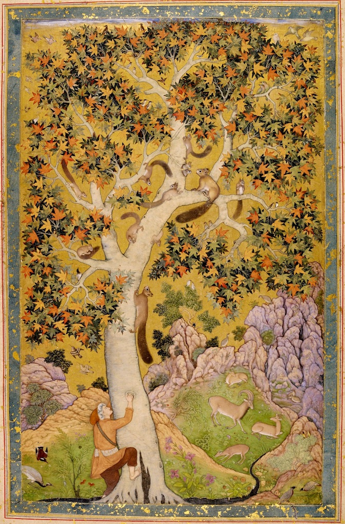 Abu'l Hasan and Mansur Squirrels in a Plane Tree, ca. 1610, India Office Library and Records, London. Johnson Album 1, no. 30