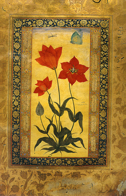 The tulip, Mansur ca. 1621, Maulana Azad Library Aligarh Muslim University, Habibganj Collection, 60-1-ba-3. Scanned from: Wonders of Nature, Ustad Mansur at the Mughal Court, Asok Kumar Das, pg. 146
