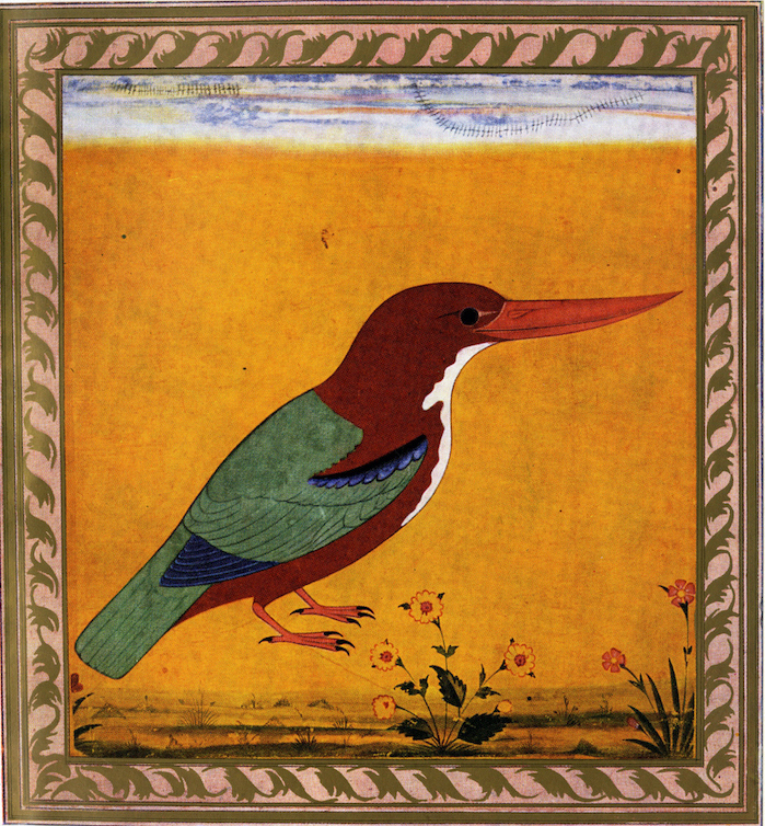White-breasted kingfisher, ca 1625, Sir Cowasji Jehangir Collection
