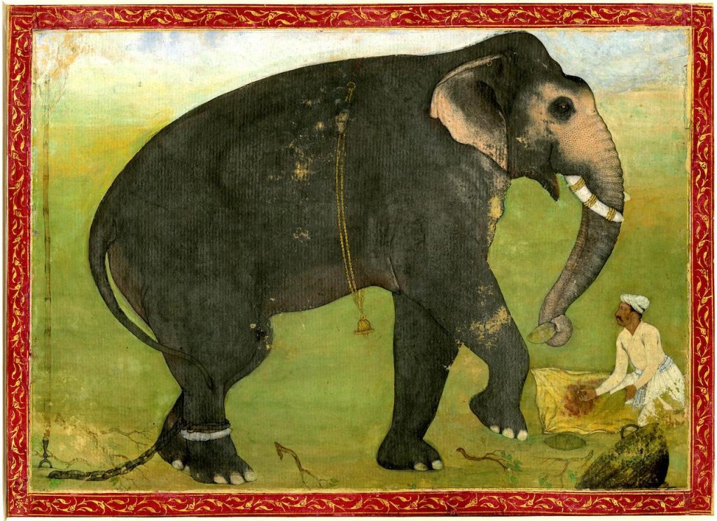 Untitled folio of an elephant, ca 1620, British Museum 1939,0513,0.13