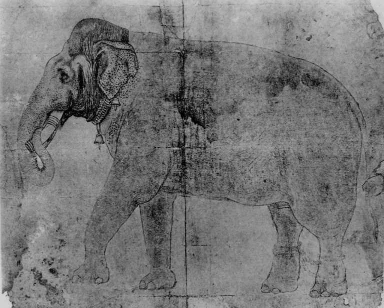 Elephant, early 17th century, paper, Photo courtesy: Center for Art and Archaeology