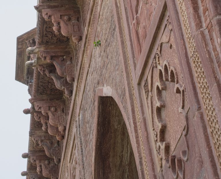 Close up of squinches, overhangs, and Sandstone cladding at Tomb of Mariam-uz-Zamani, Sikandra, Agra, Uttar Pradesh, India
1627, Red Sandstone, Brick, Mortar,
AMERICAN INSTITUTE OF INDIAN STUDIES/CENTER FOR SOUTH ASIAN ART & ARCHAEOLOGY, 0427