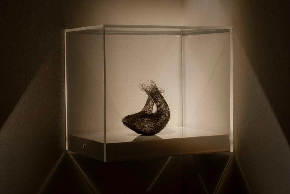 sculpture made of hair facing sideways in a glass box