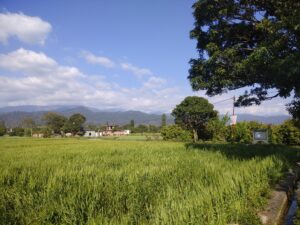 View of Chotti Haldwani, Nainital, India.2019 Private Collection